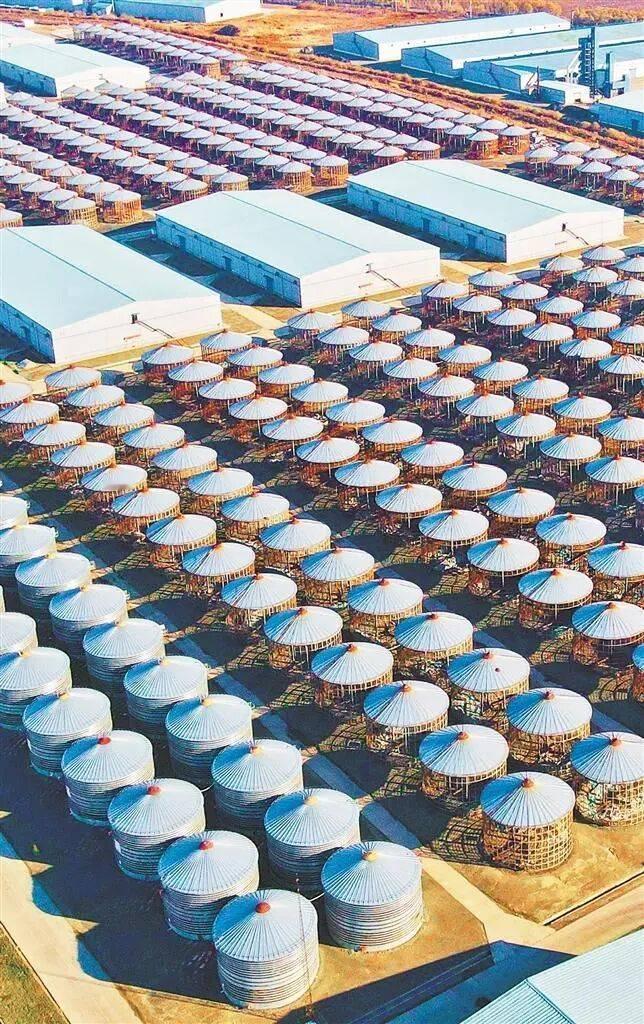 明牌了，感觉要做好打仗准备了！中国2025年囤积了充足的物资，即便这样，我们还顺