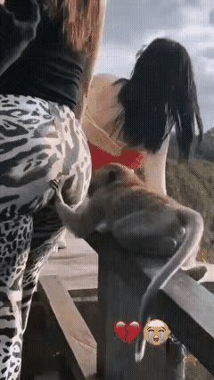 我不说话评论区就能炸锅！不信你看！