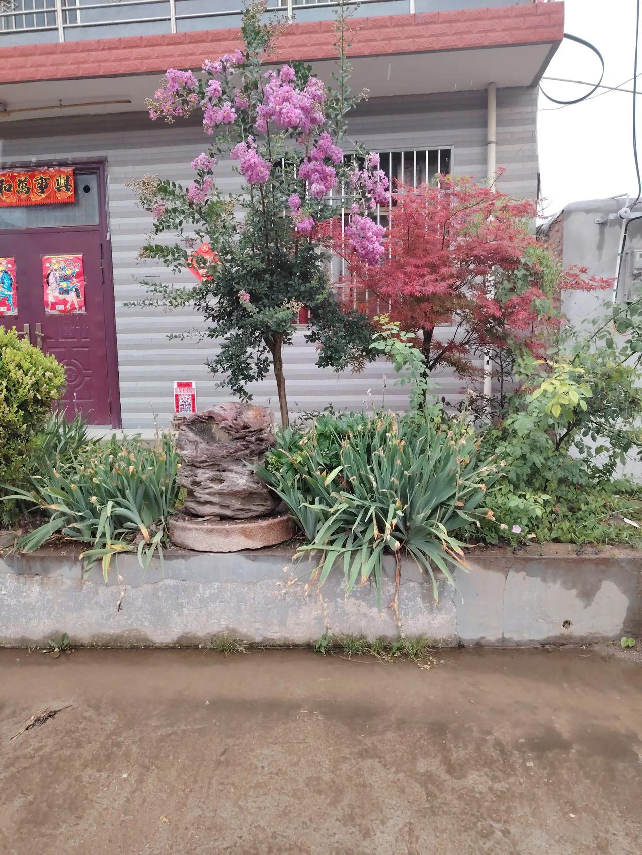 门前的花朵
#植物观察日记#我们这里下雨，我在雨中散步，我走在雨中的小巷，发现了