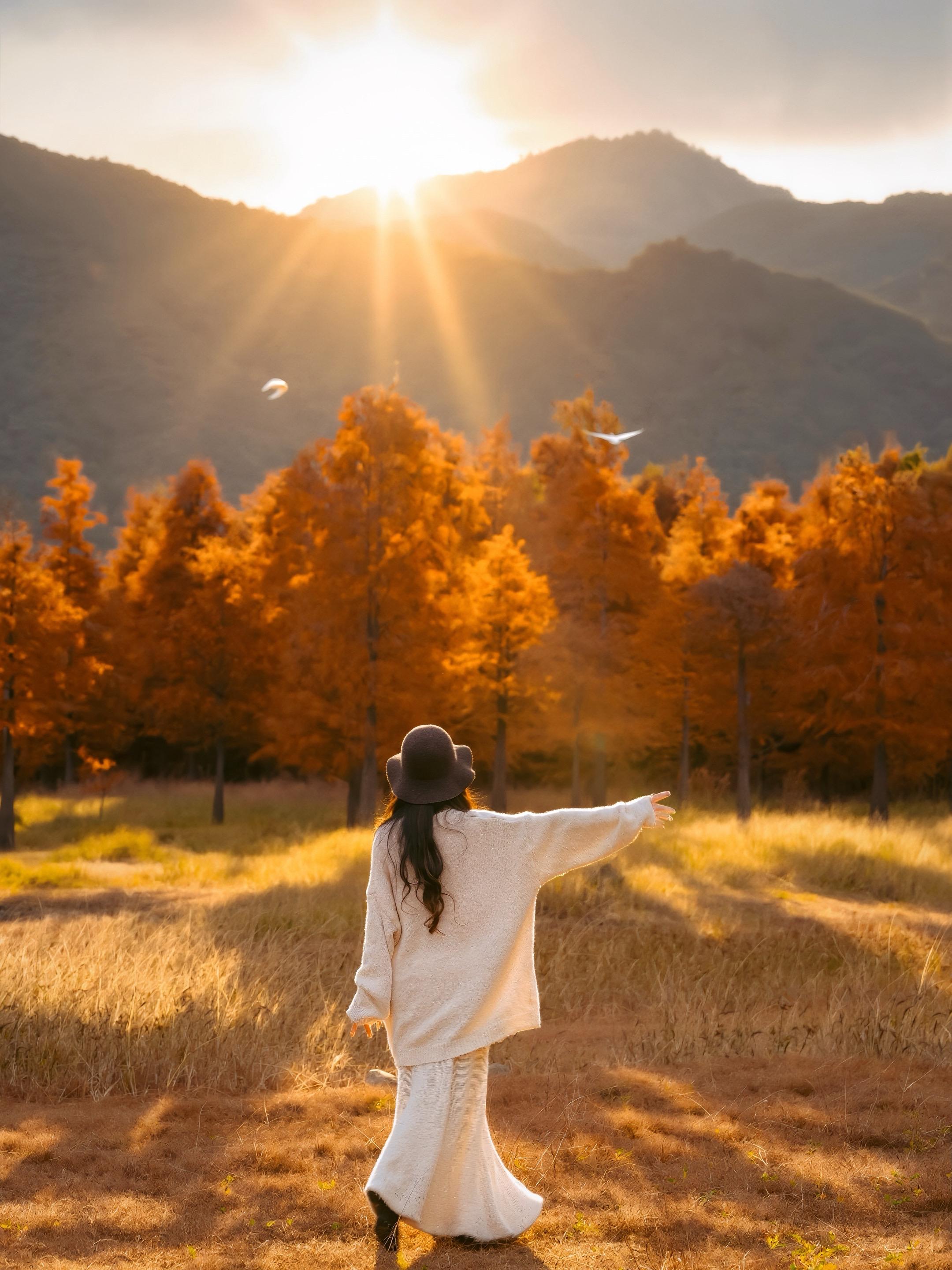 黄岩李家垟！低水位解锁红杉林沉浸式拍摄！今年长潭水库水位走低，终于能下...