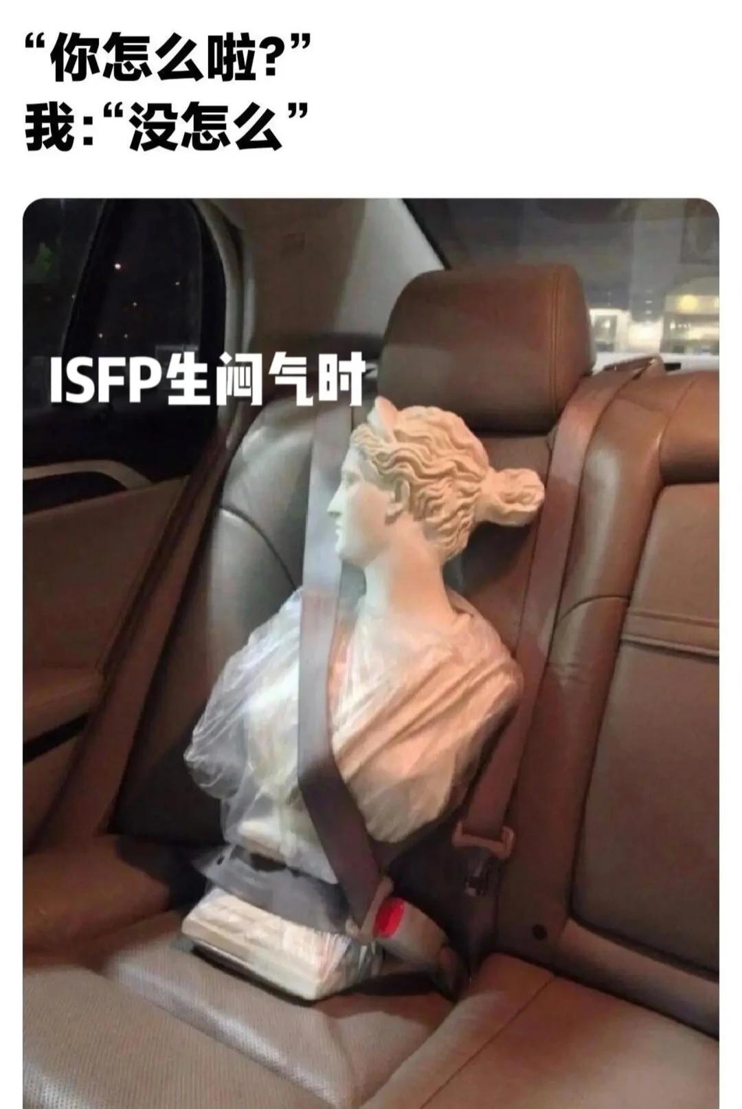isfp梗图
不必飞太高 做一只笨鸟isfp mbti mbti梗图 梗图 测试