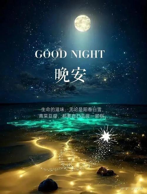 晚安无论今天发生多么糟糕的事，都不应该感到悲伤，因为还有明天，晚安💤 
