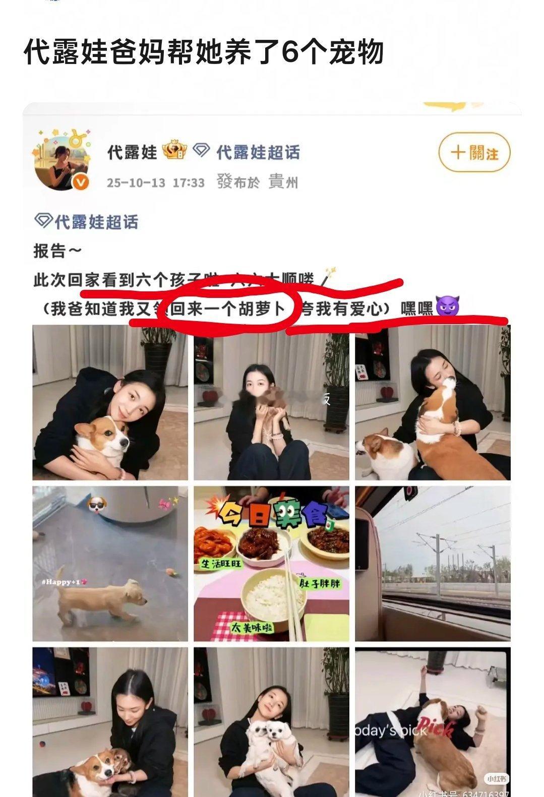 才知道代露娃爸爸帮代露娃养了六个宠物[泪奔] ​​​