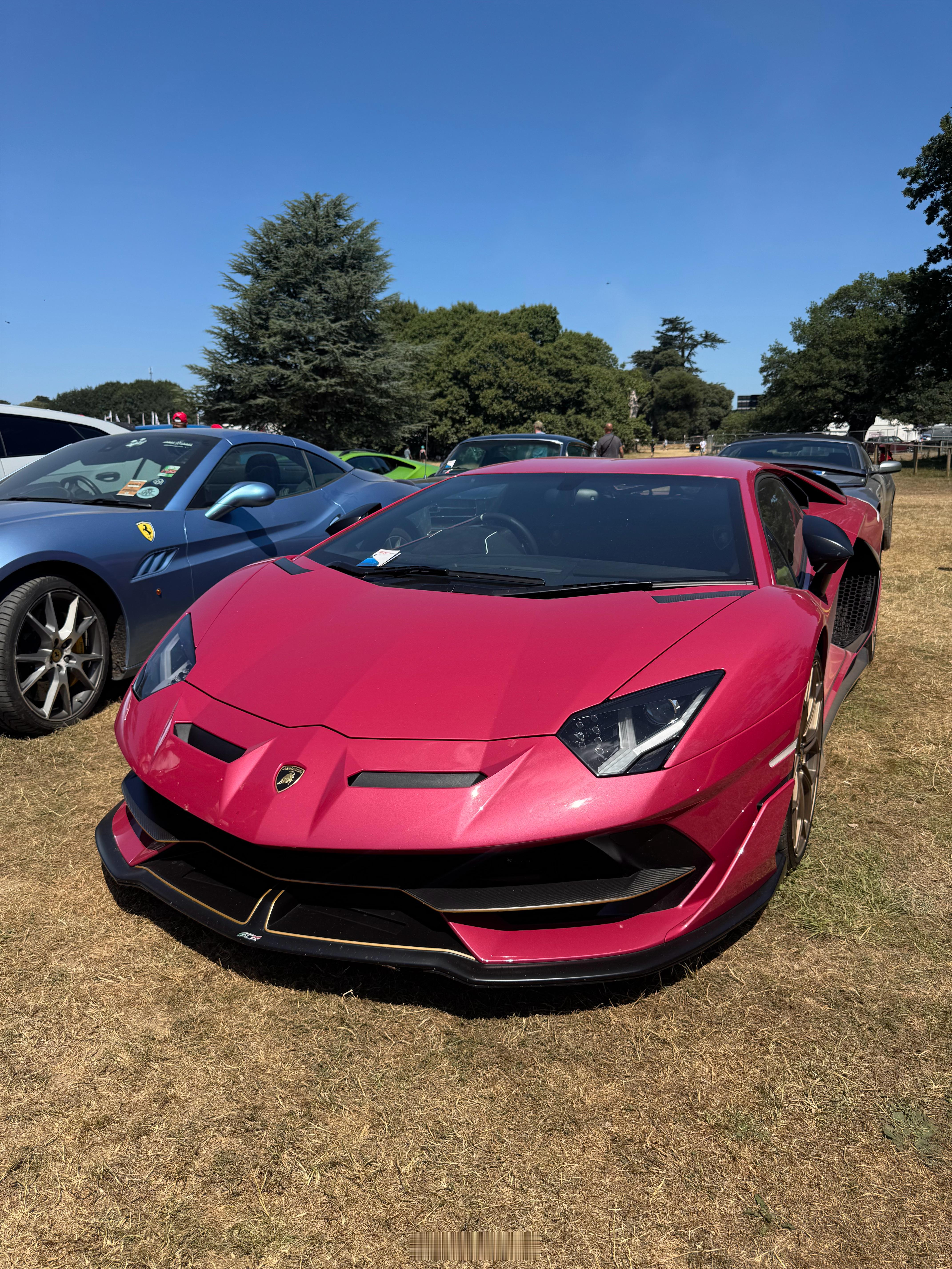 粉色SVJ也不错[色][色]汽车志x古德伍德兰博基尼aventador ​​​