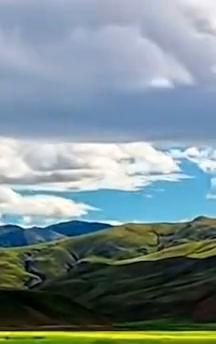 高维智慧永远不要担心你的孩子和父母。这世间最大的幻觉就是我们总以为自己能为他人的