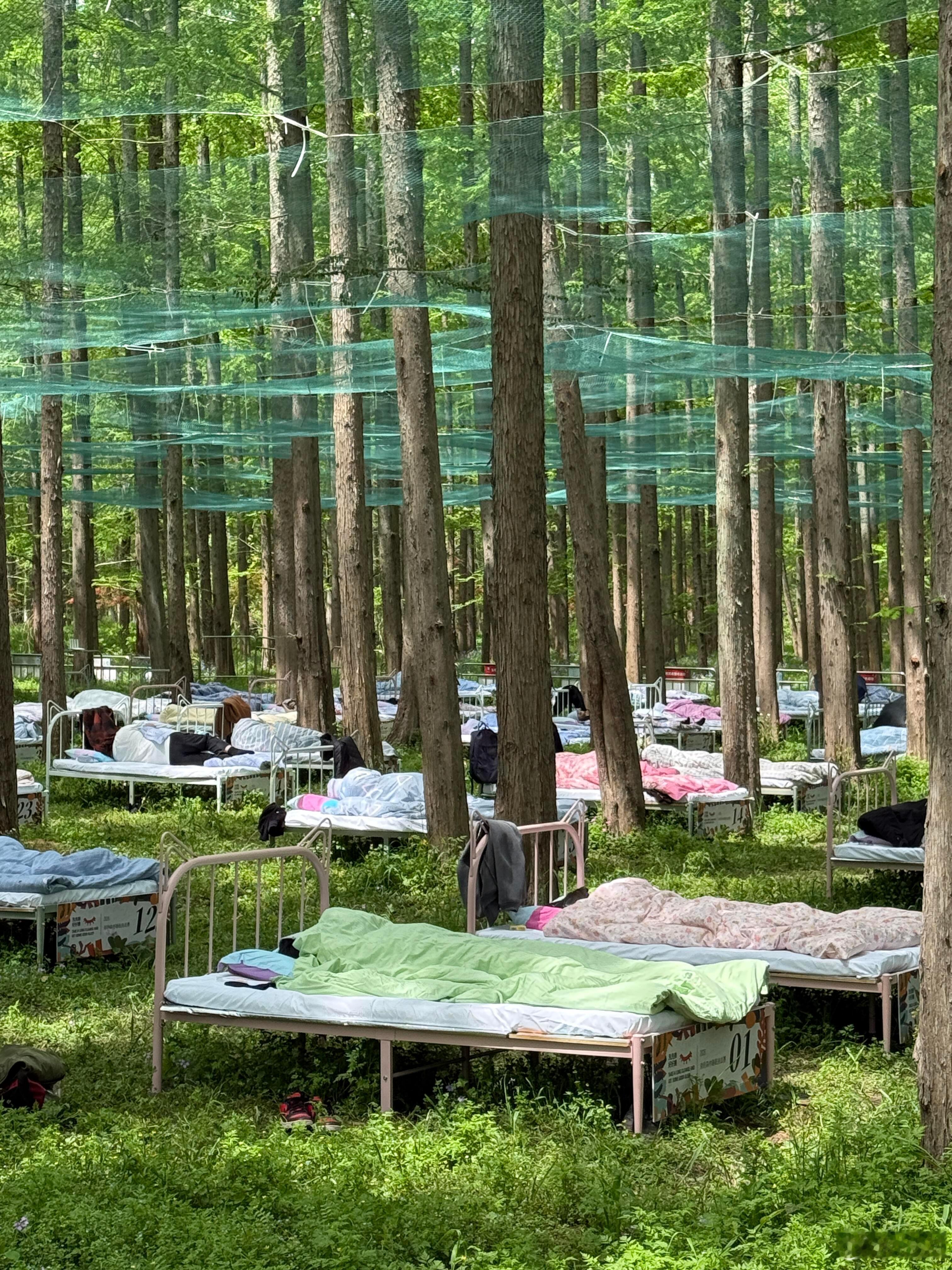 “睡觉大赛！” 