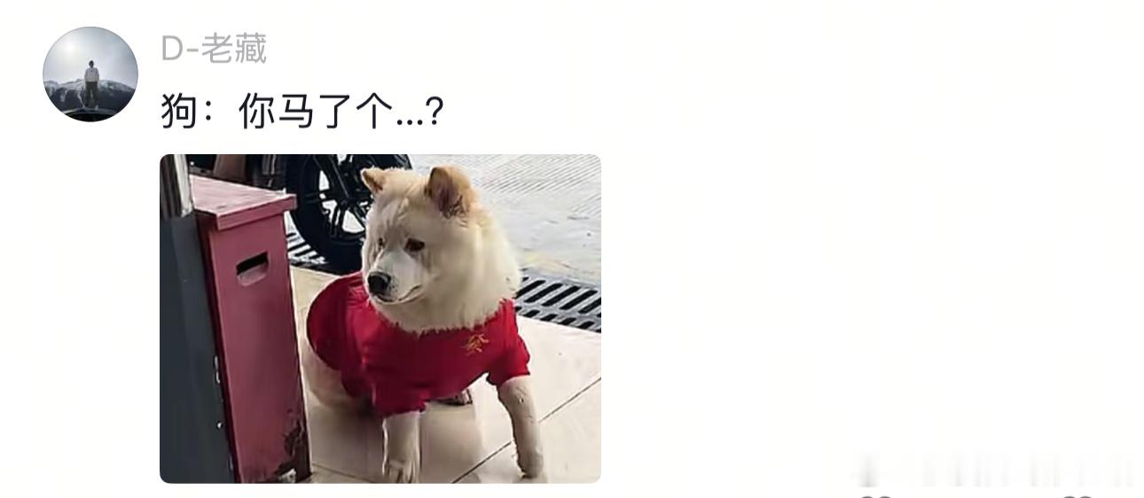 四驱不上雪地胎照样刹不住车 