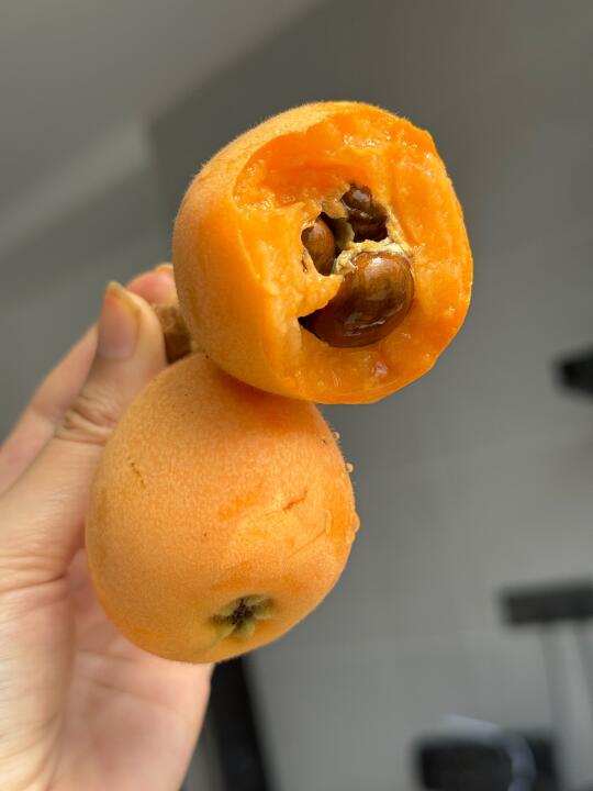 现在的枇杷比之前更大更甜