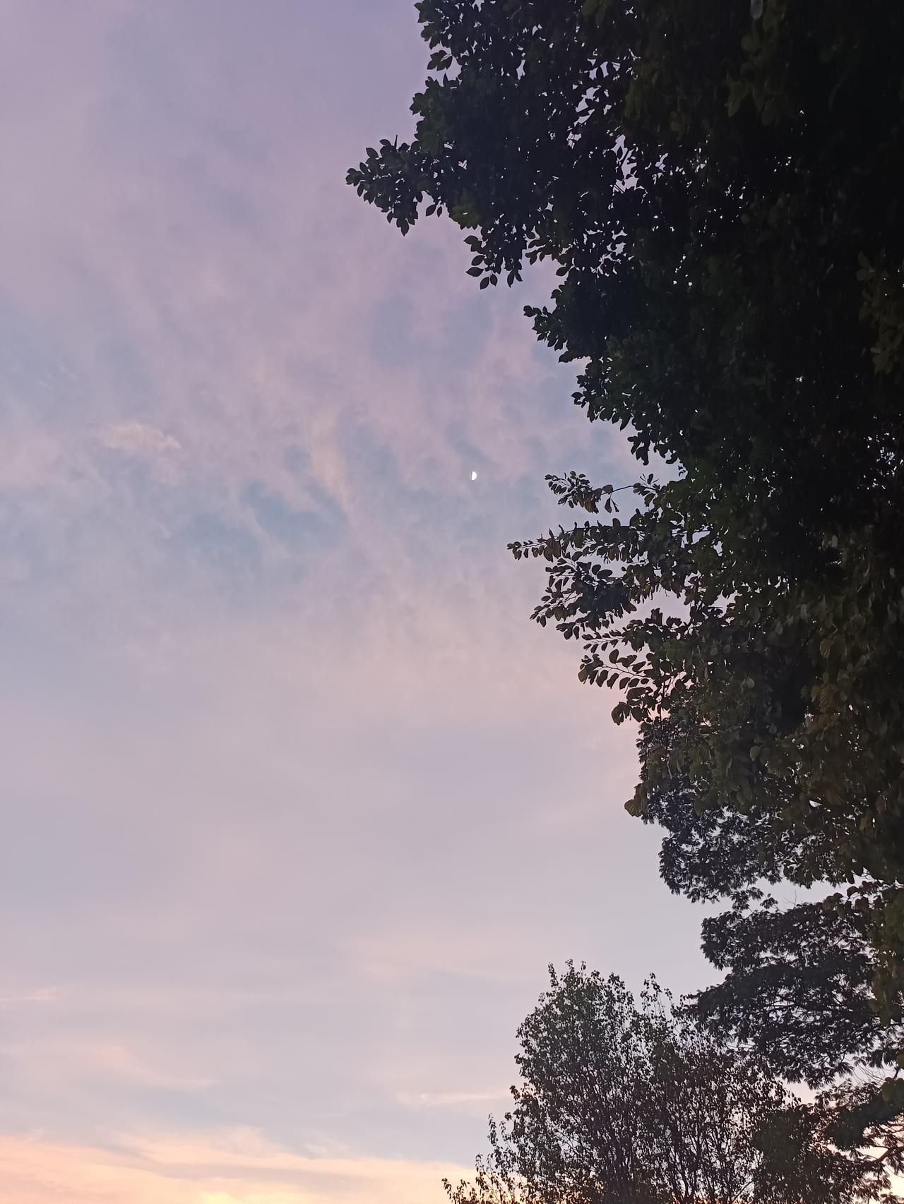 工资低，有没有前途
只适合养老，环境不错，气气候温和
在你眼中,肇庆是一座怎样的