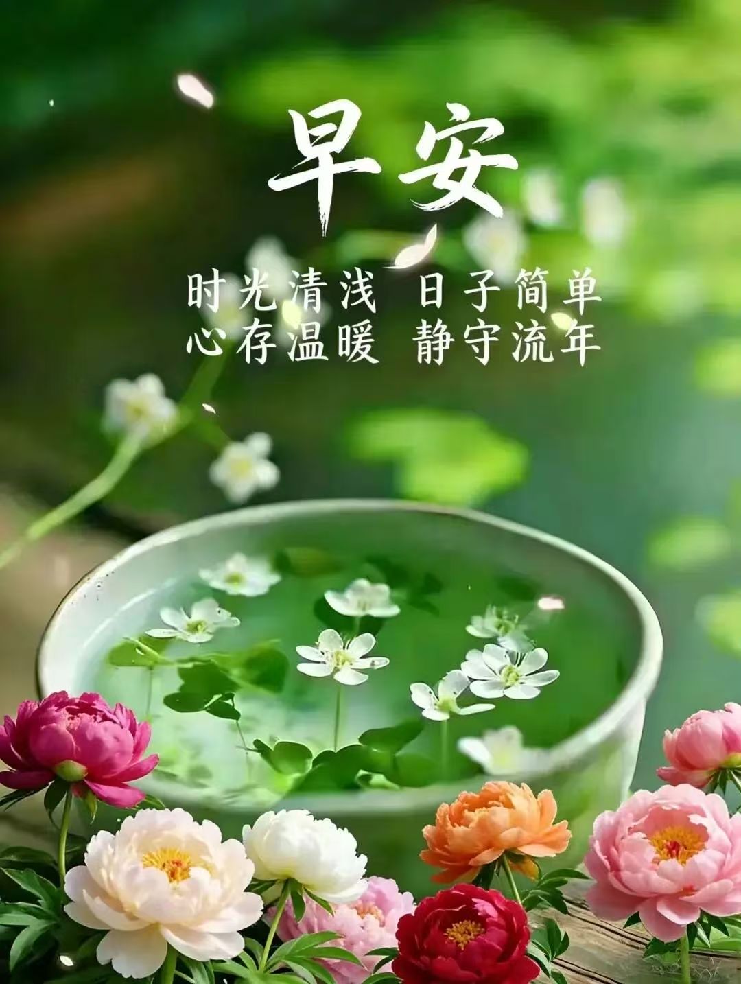 分享图片 ​​​