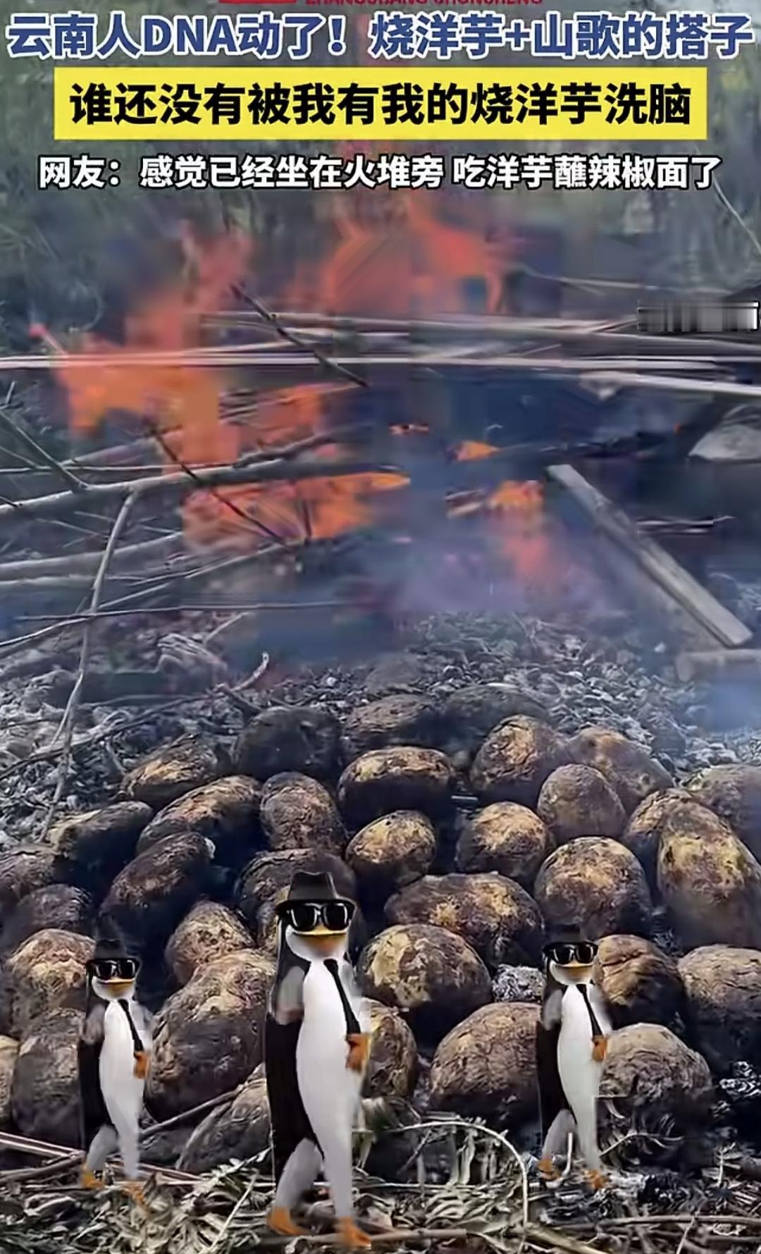 “你有你的肯德基，我有我的烧洋芋，你拿什么跟我比。”这个谁改编的云南山歌啊？
马