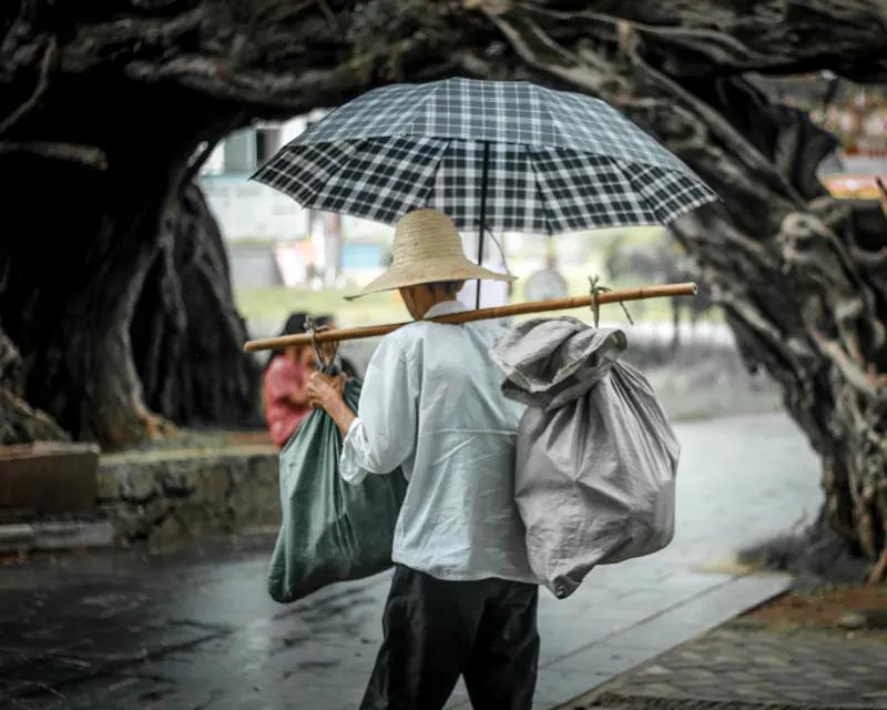 走过半生,回首人生,有何感悟? 走过半生，回首往昔，感慨万千。早年为了生活，那真