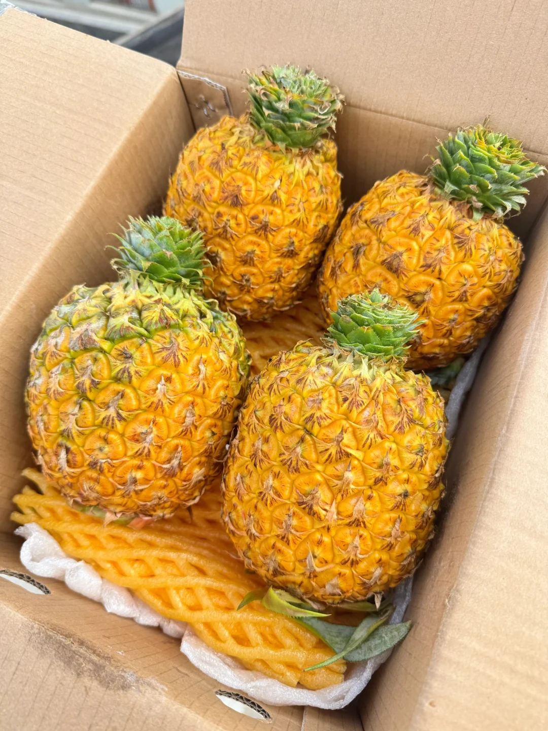 这个时候就有芒果凤梨吃，太幸福了吧！