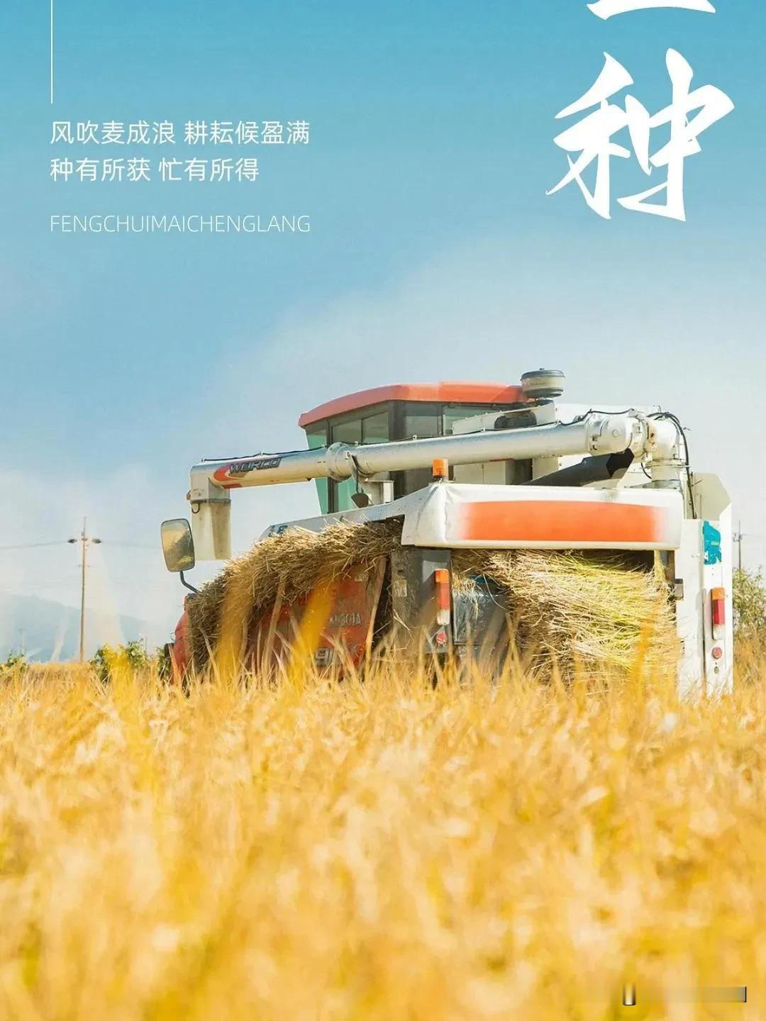 #一张图记录夏日生活#
今天是6月5日，星期三，农历四月二十九，早安！芒种芒种，