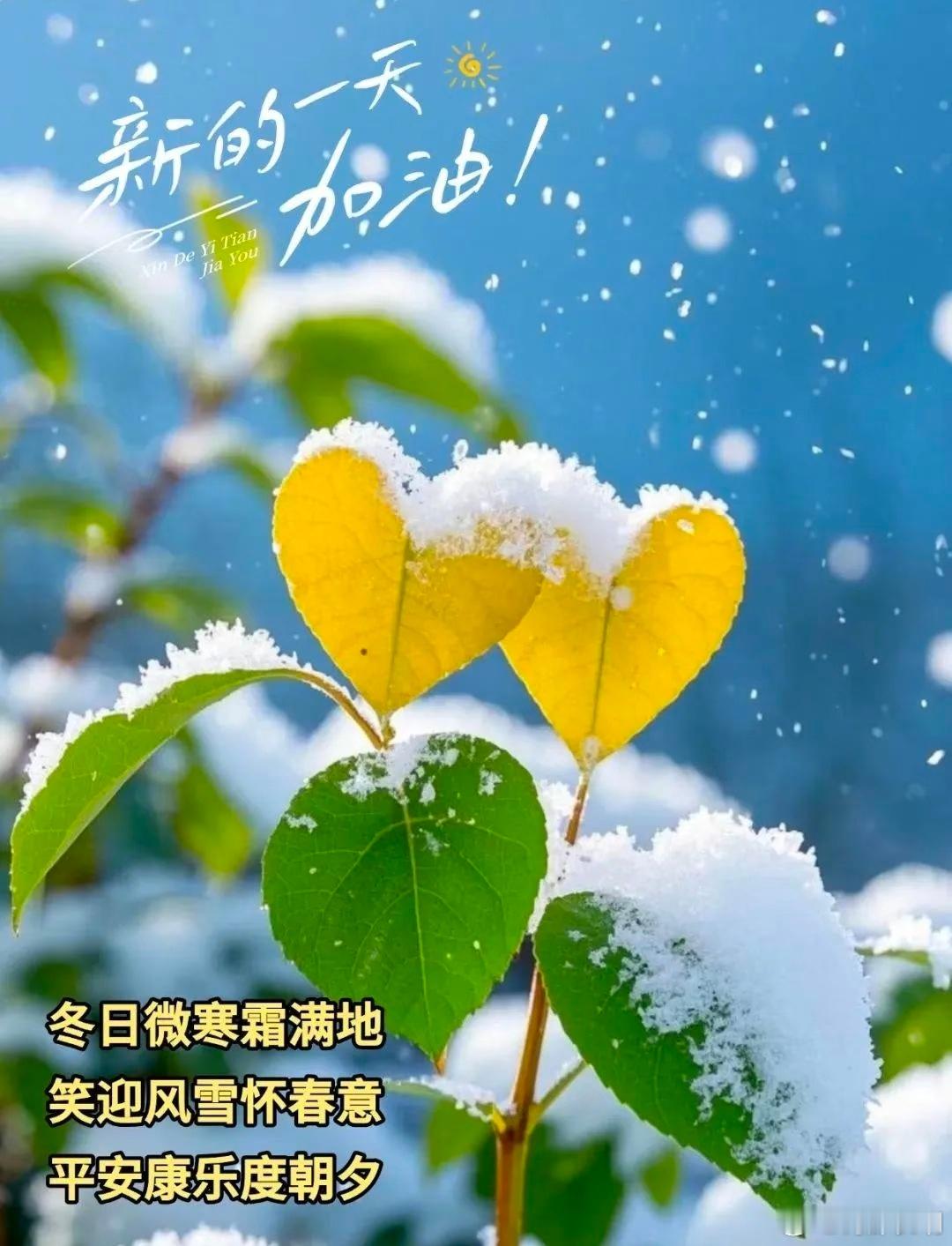 时光知冬，岁月知寒。冬天是冷的，但心若温暖，便能感受到这份寒冷中的柔情。在这个季