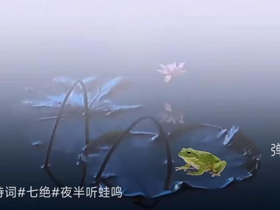 夜半听蛙鸣
一番春雨挟雷声，
好梦醒来心自宁。
莫怪山居无别趣，
夜半能听蛙鼓鸣