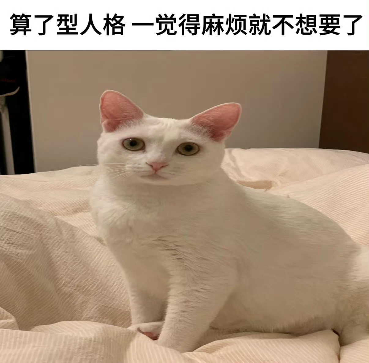 这说的是谁啊？ 