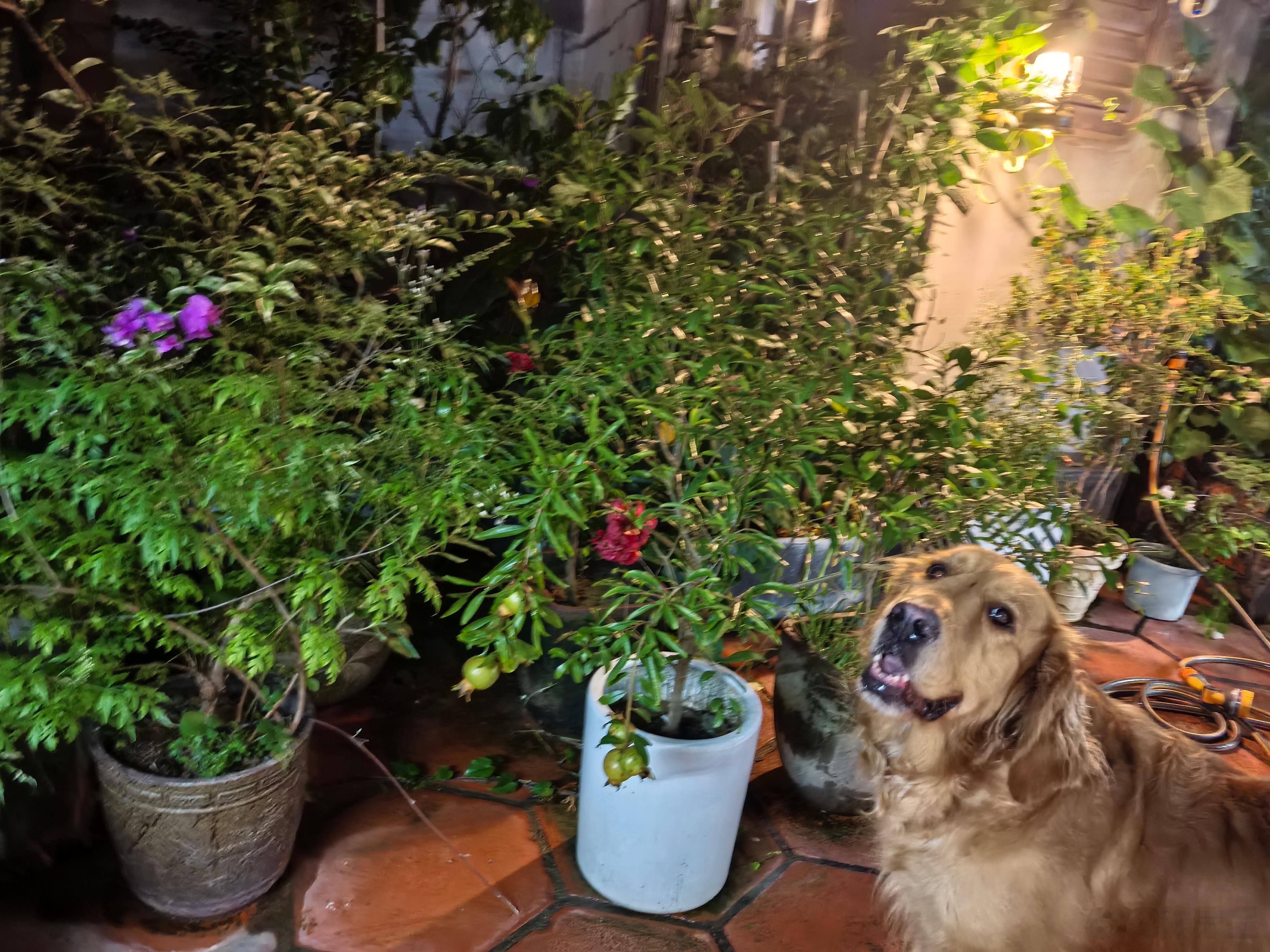 拍到意义一张很可爱的照片 