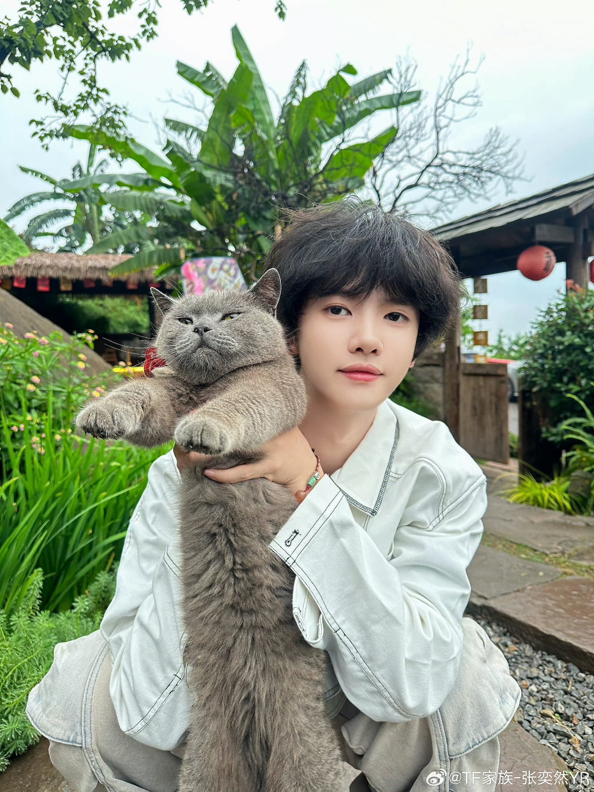 猫脸都快赶上我们然然的小猪脸大了