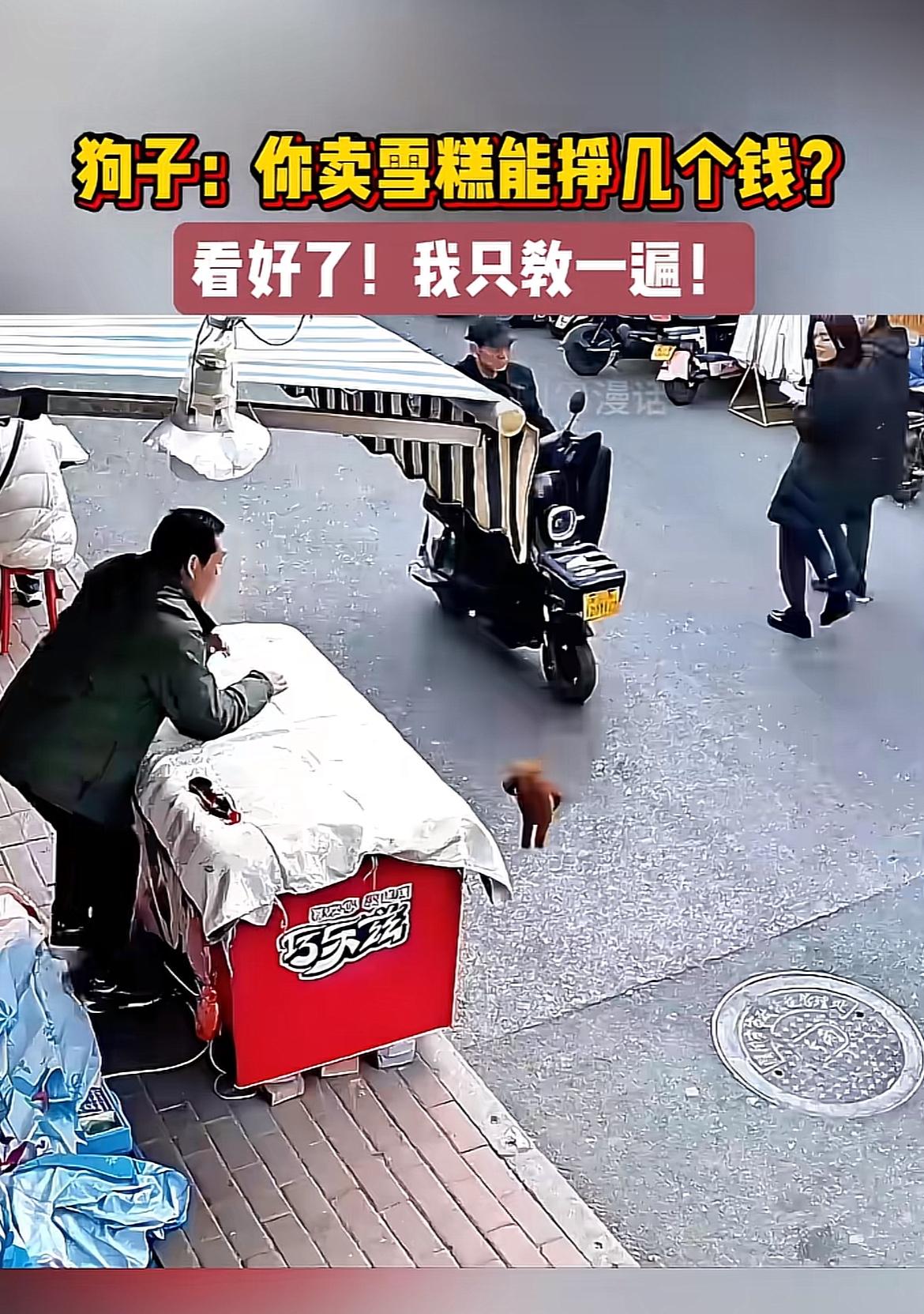 前几天路过巷口的雪糕店，撞见特别离谱的一幕。
老板家的黄狗子本来趴在收银台旁边陪