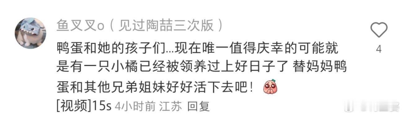 -“短短12小时内夺走了四只猫咪的生命”…天呐！！如果投毒属实，希望可以得到重视