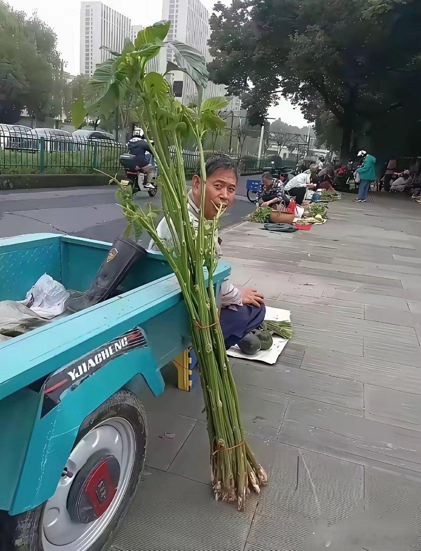 这个也能卖？不知道买回去干嘛用。 