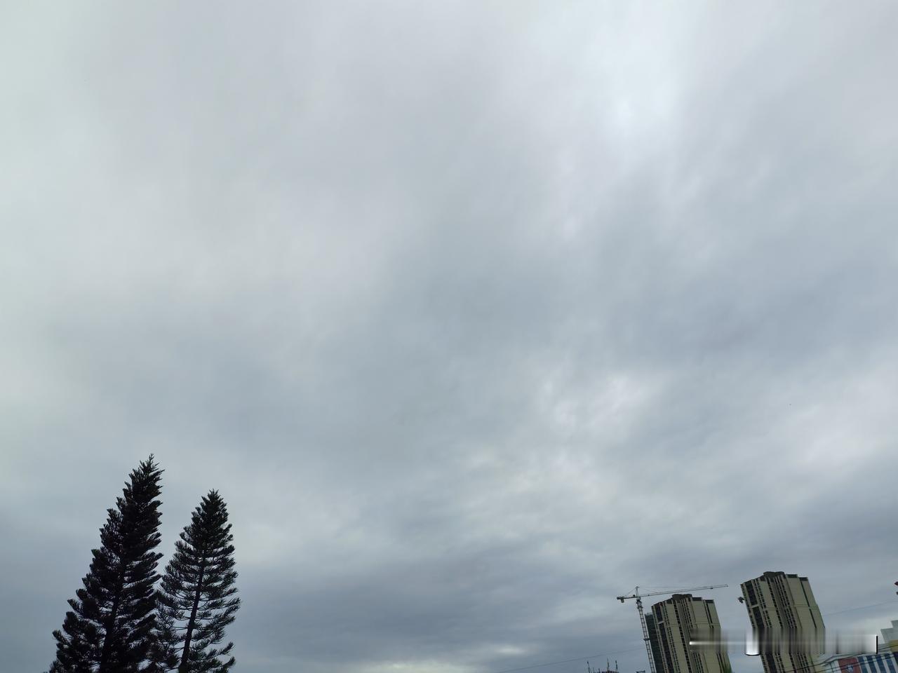 今日霜降，
受冷空气影响，
多地气温极速下降，
北方一夜入冬，
南方一夜入秋，