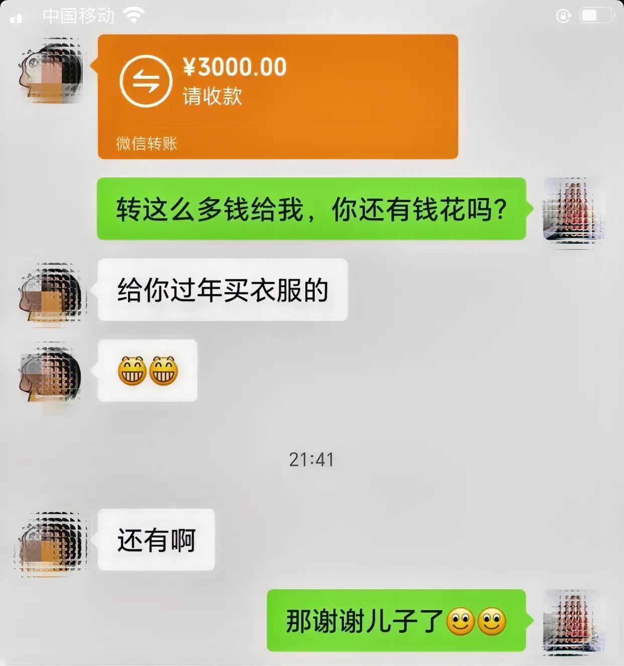 今天儿子给我转账3000块钱，说是给我过年买衣服的，孩子长大了经济独立了就是好。