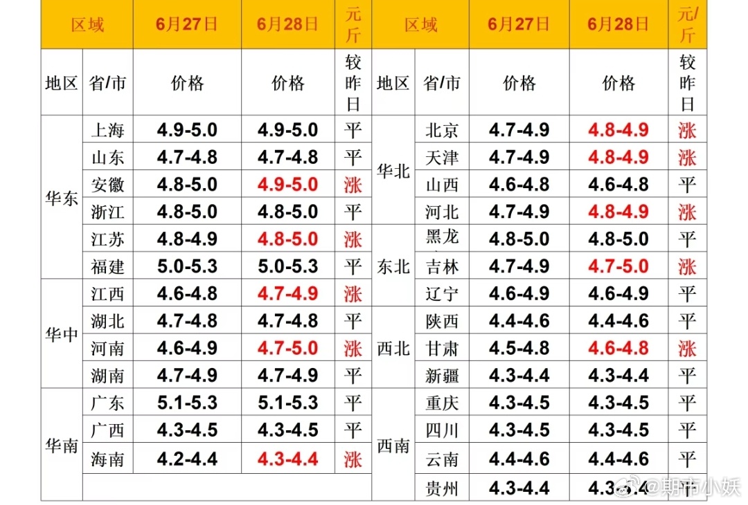 每日猪价 
