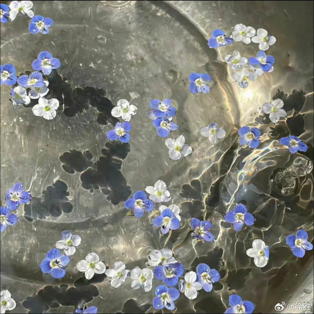氛围感背景图。 
