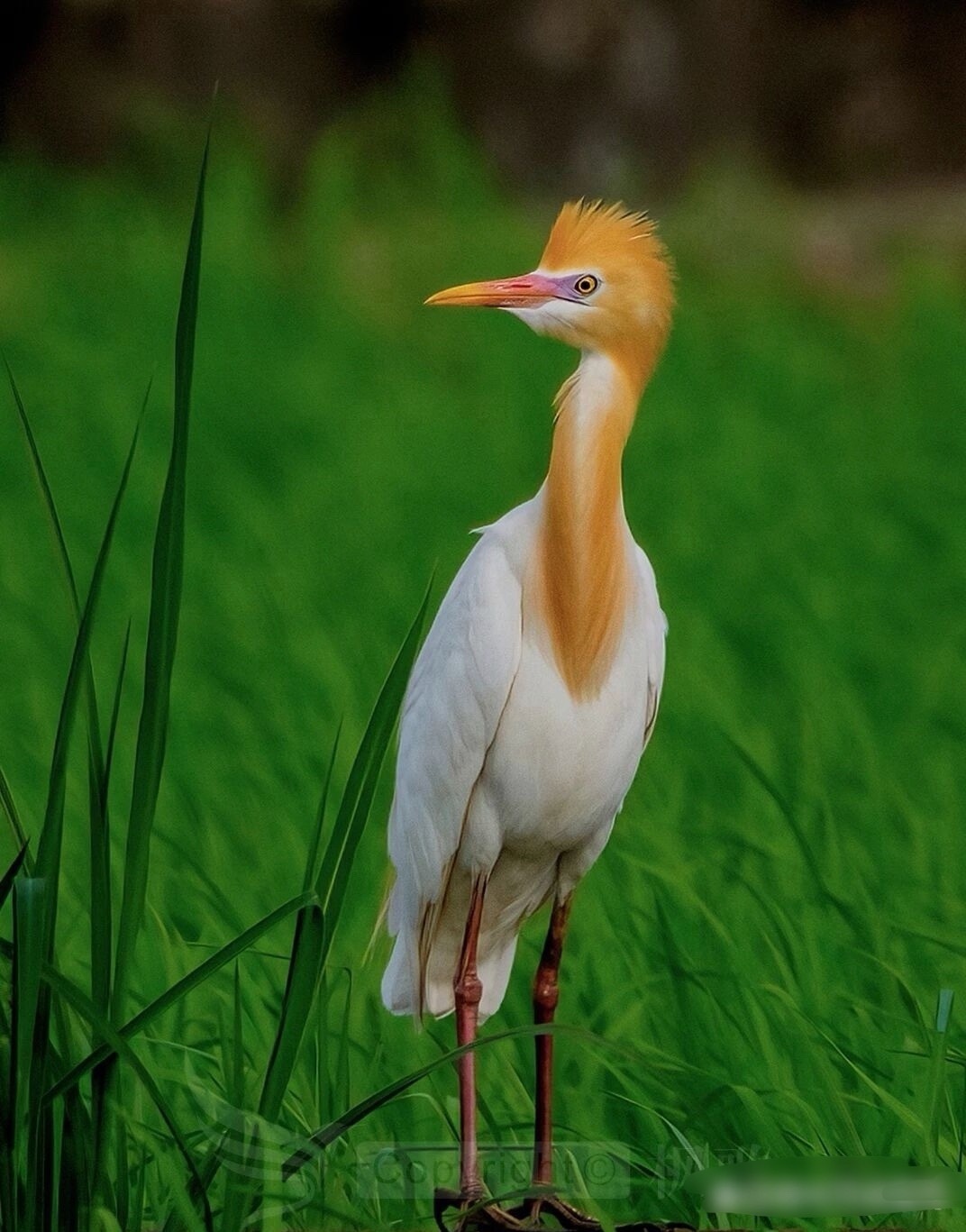 总体来说赚钱是比较愉悦的，虽然有点不平衡，不过我看大家都还蛮开心，有期待才是生活