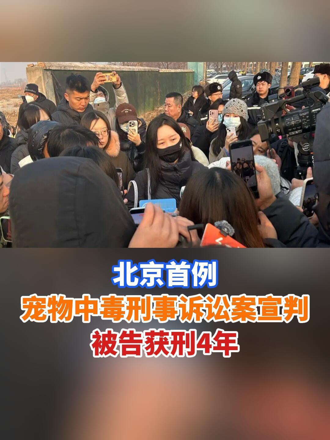 小狗西高地Papi主人发声11位受害人拒绝与毒狗男子和解  11位受害者如果养的