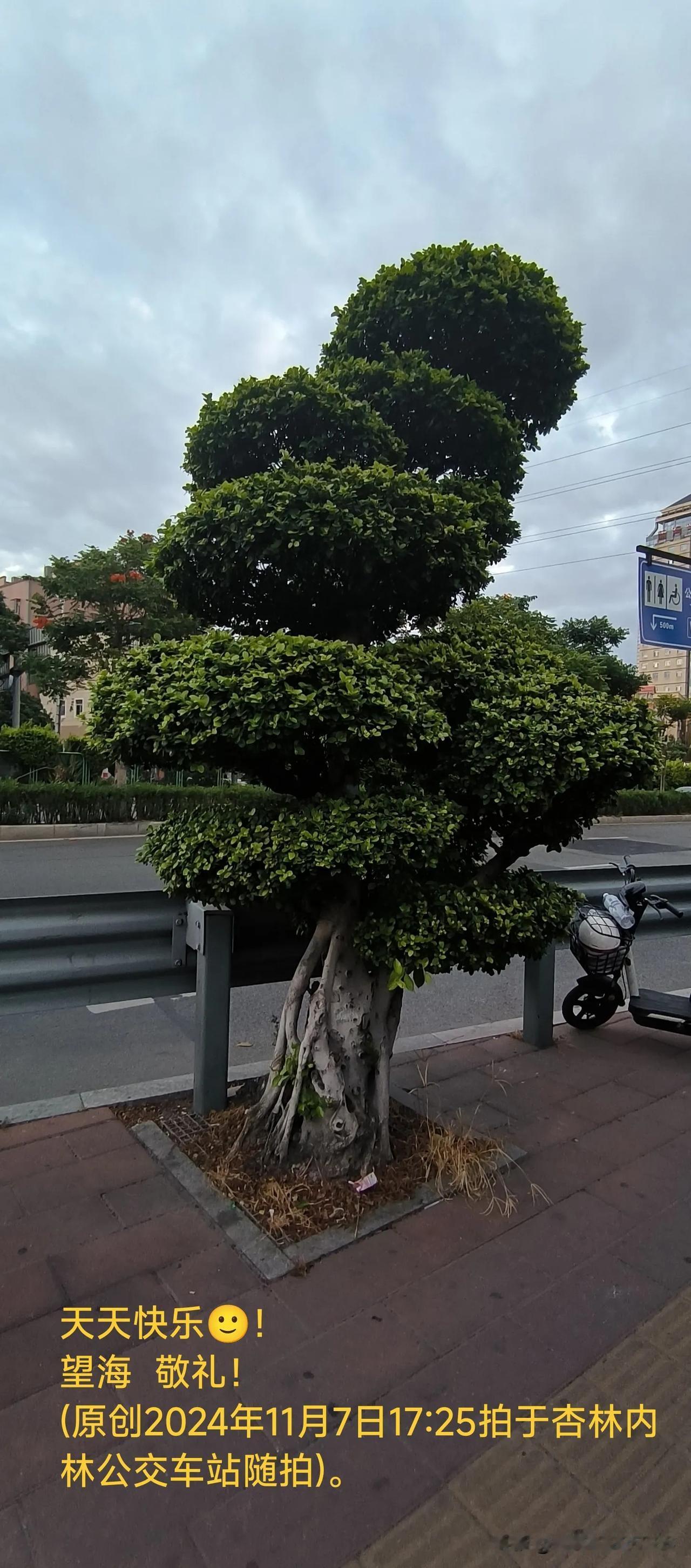 #沿途风景随拍#感谢贵平台盛情的邀请！致敬！
  最近，本人因有事要办，要穿梭岛