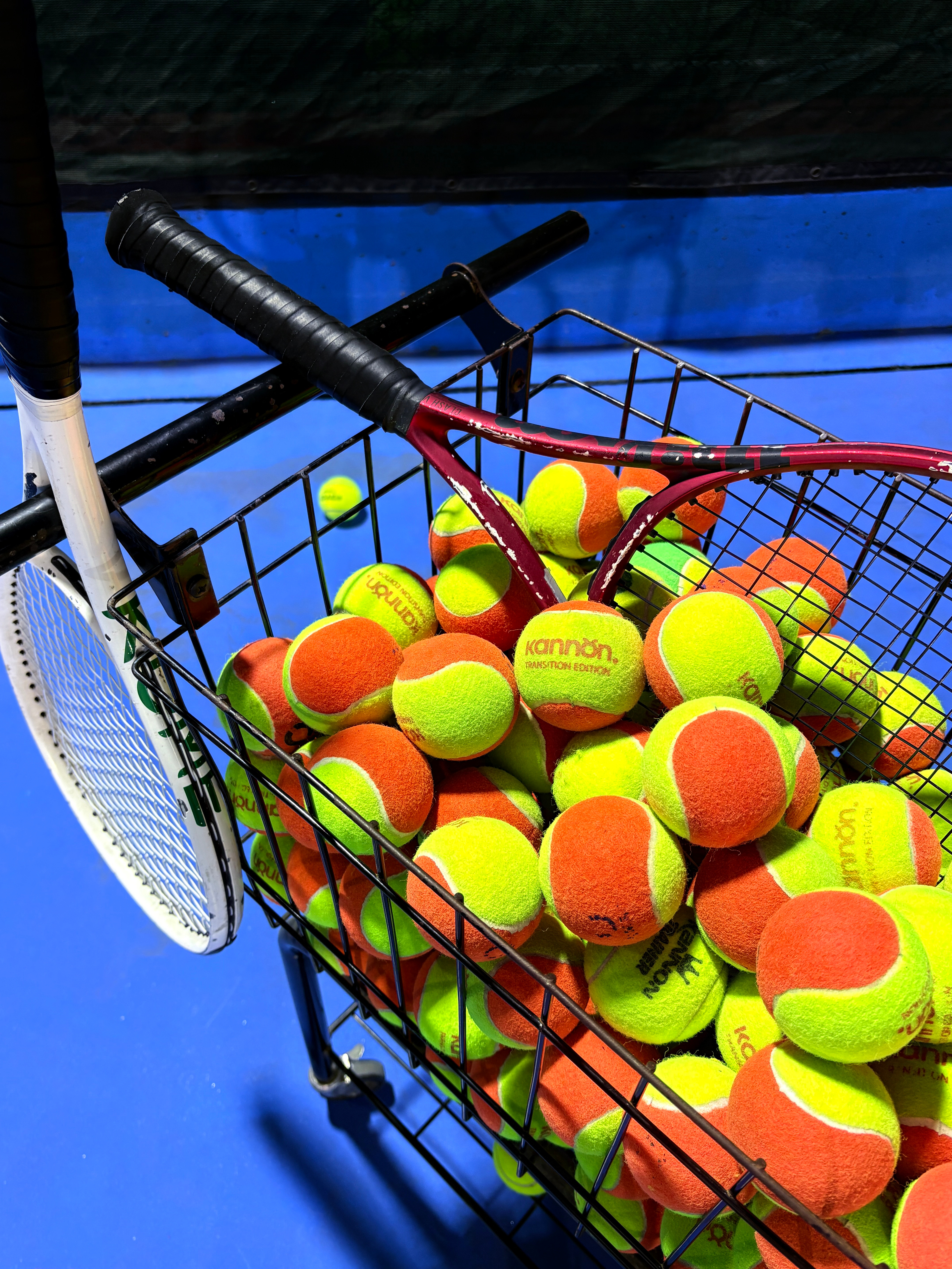 🎾 