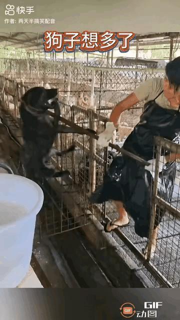 这个女子够彪悍的啦，对这些毛孩子也是够狠的了，在这个女子的心中，一切都是生意，她