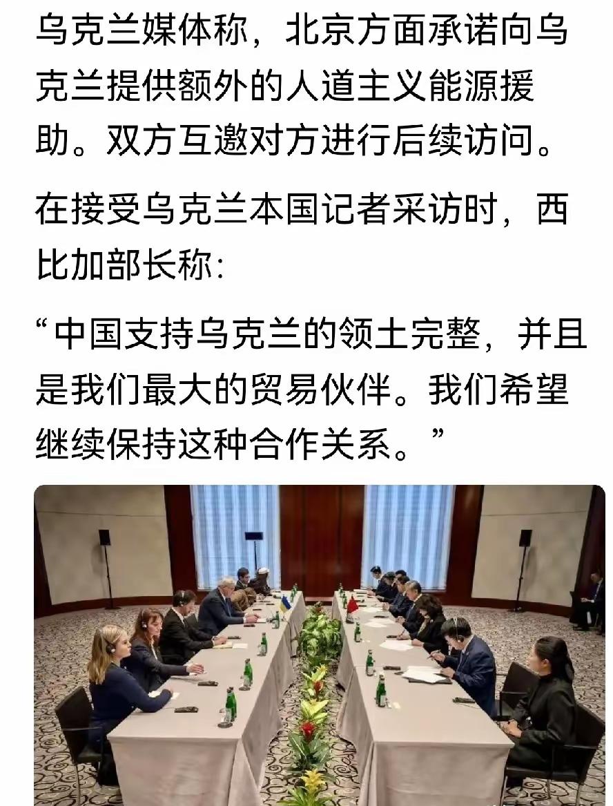 雪中送炭，中方将为乌克兰提供能源方面人道主义援助。2月13日乌克兰外交部长瑟比加