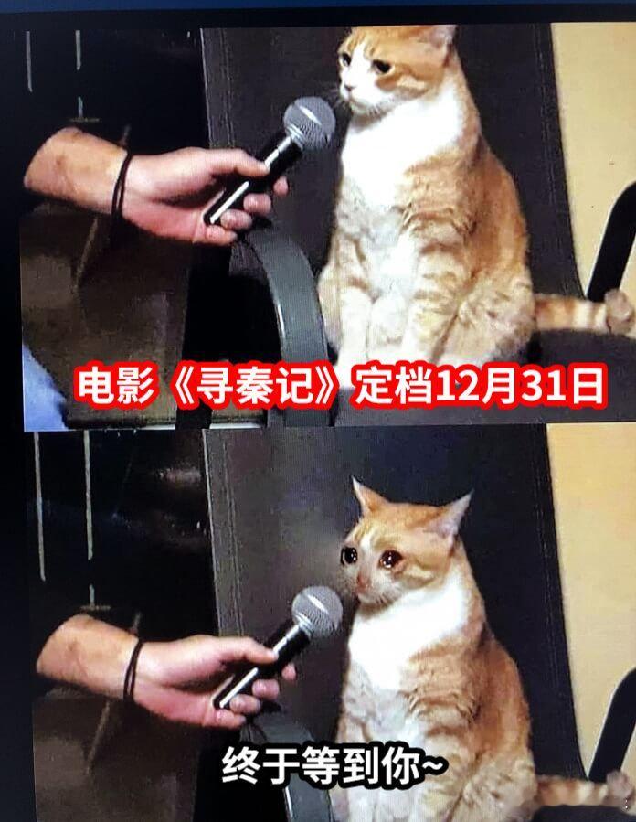 寻秦记电影定档跨年古天乐林峯宣萱寻秦记原班人马回归 等了整整24年！原班人马携电