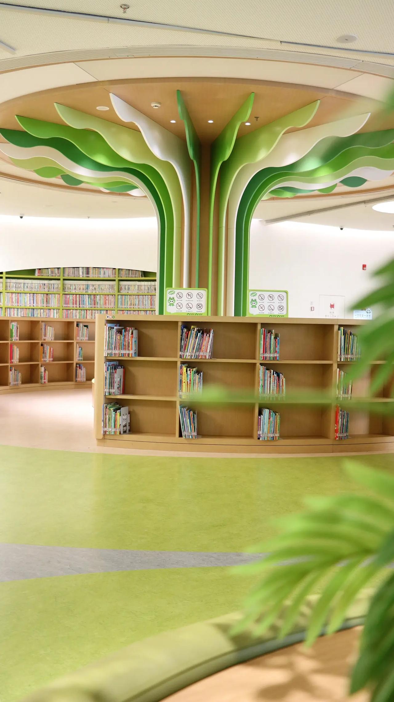 在图书馆的大树下，让孩子心里长出知识的嫩芽。读书从不是任务，是为自己打开一扇又一