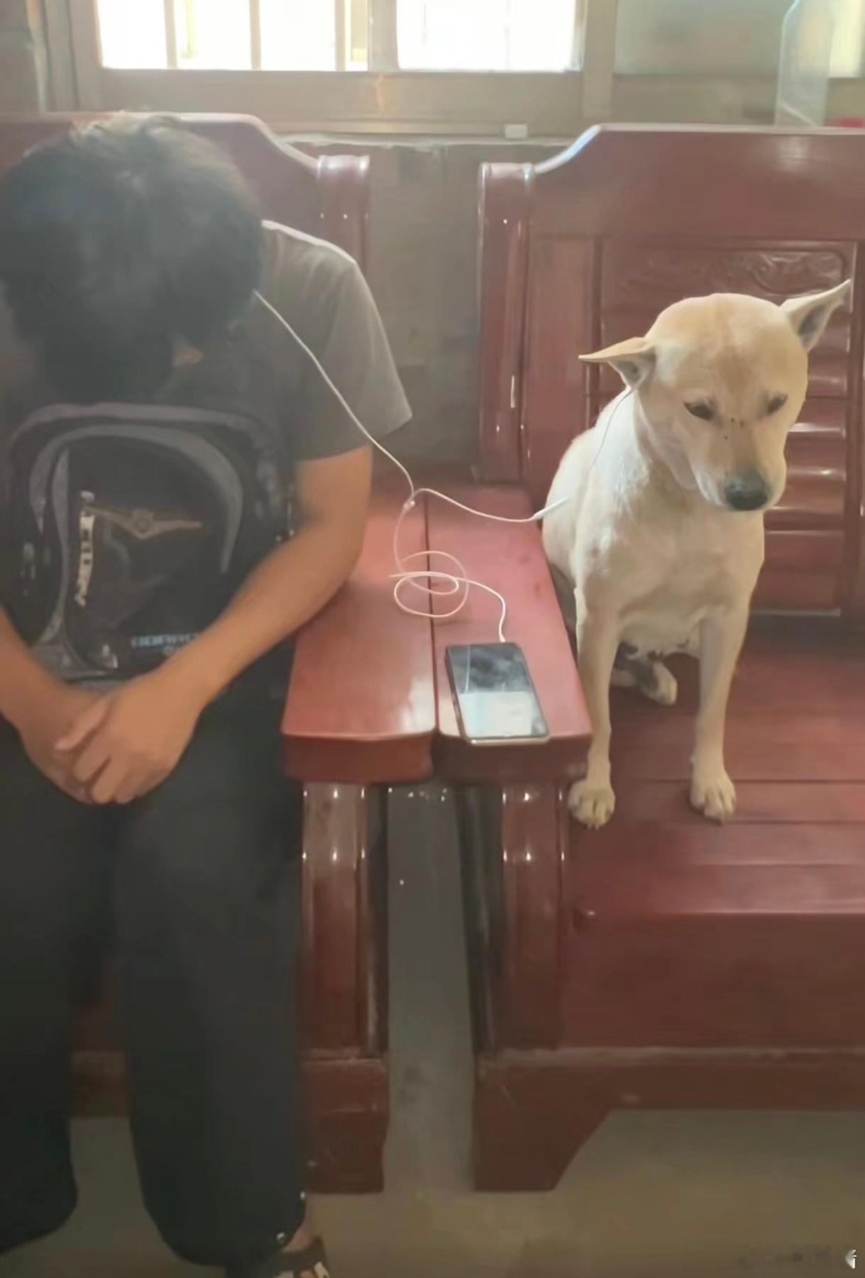 酷狗音乐 