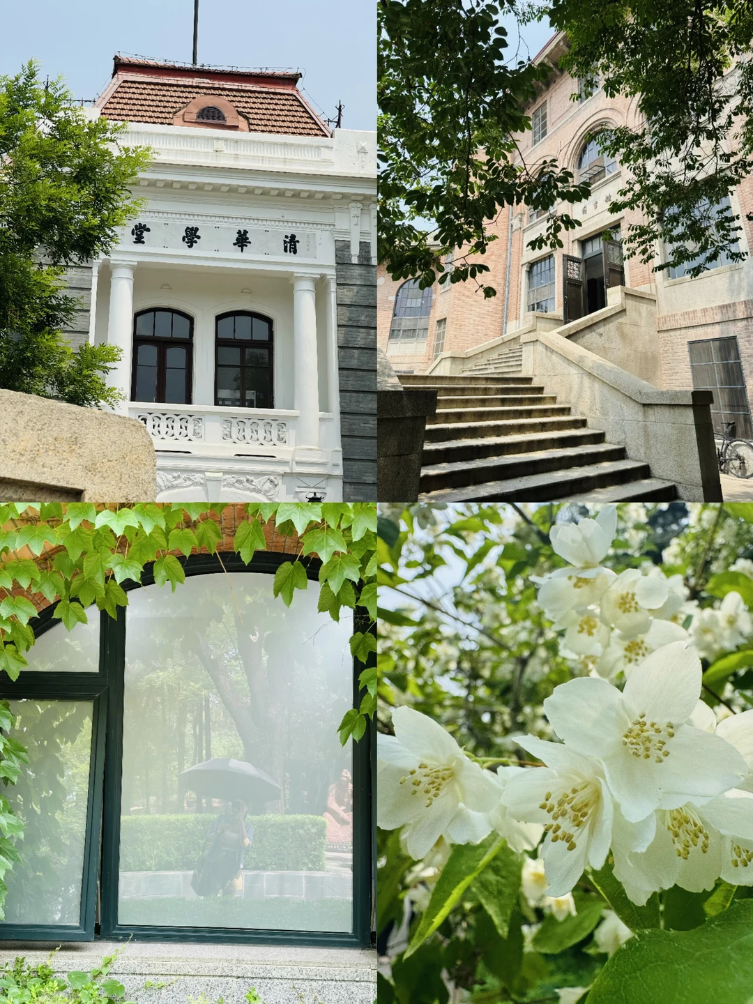 清华的磁场也太好了吧❗️（附攻略）