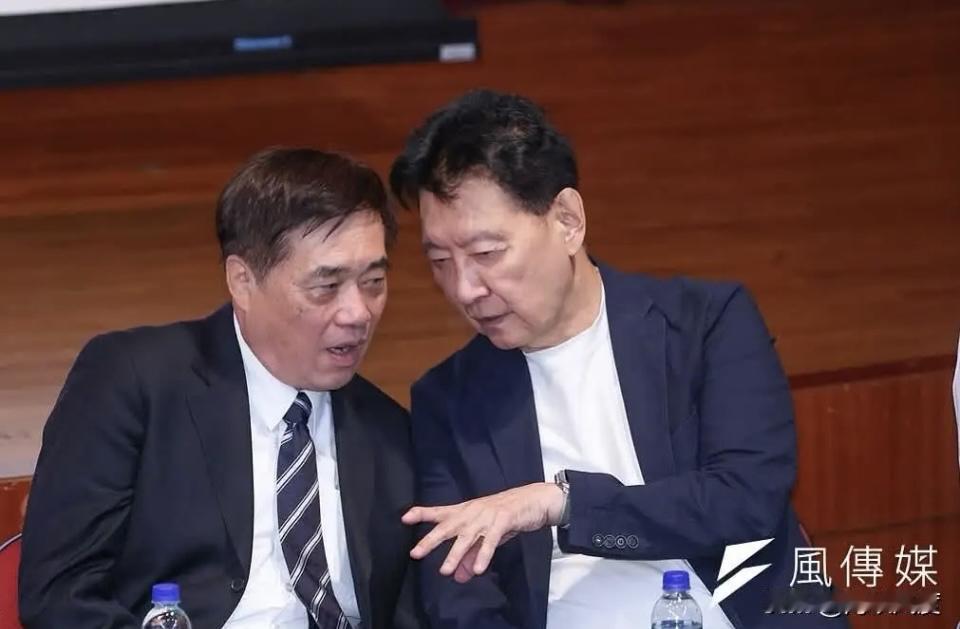 郑丽文这民调太炸了！49.1%的支持率甩郝龙斌27个点，三份民调连冠，直接把郝赵