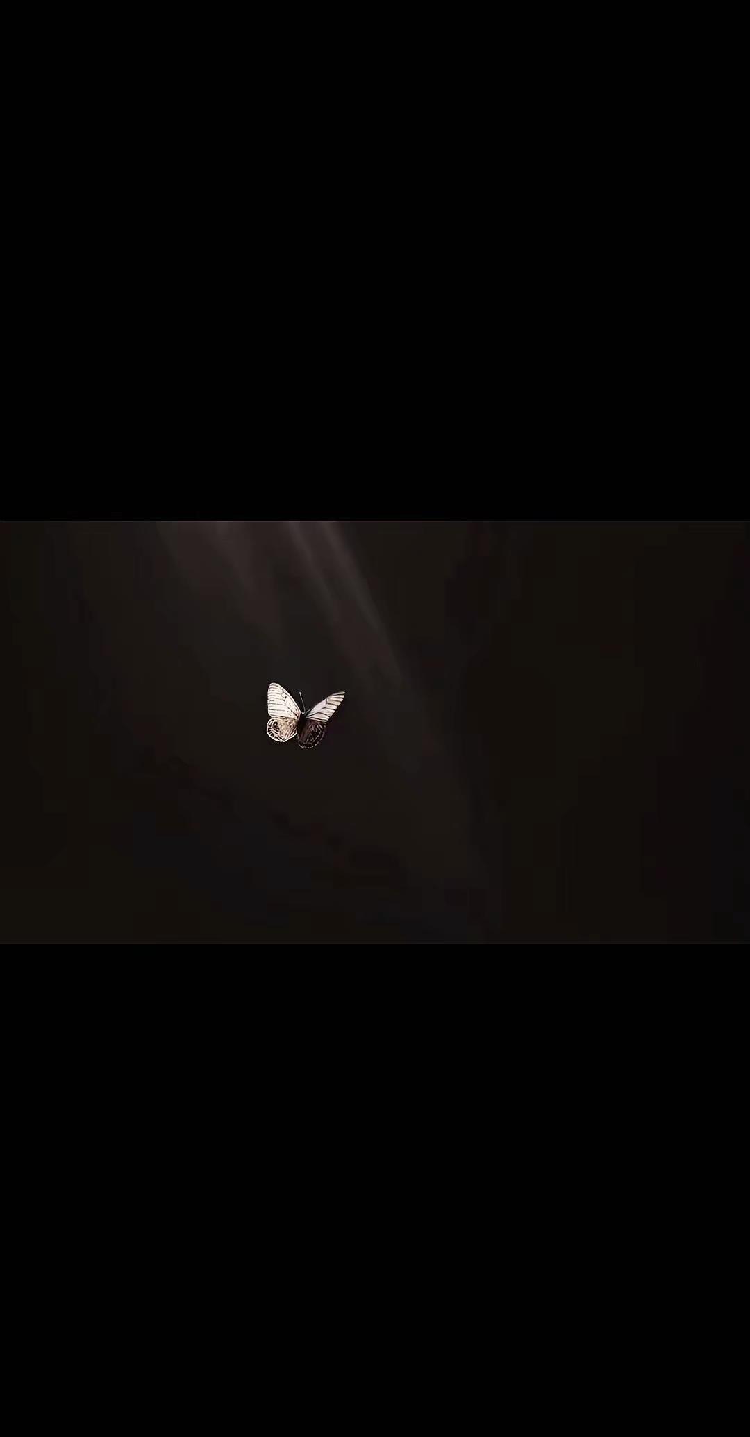 我想要两颗西柚。我一直觉得我是一个冷漠且悲观的人可就是这样的我在他人眼中却是个积