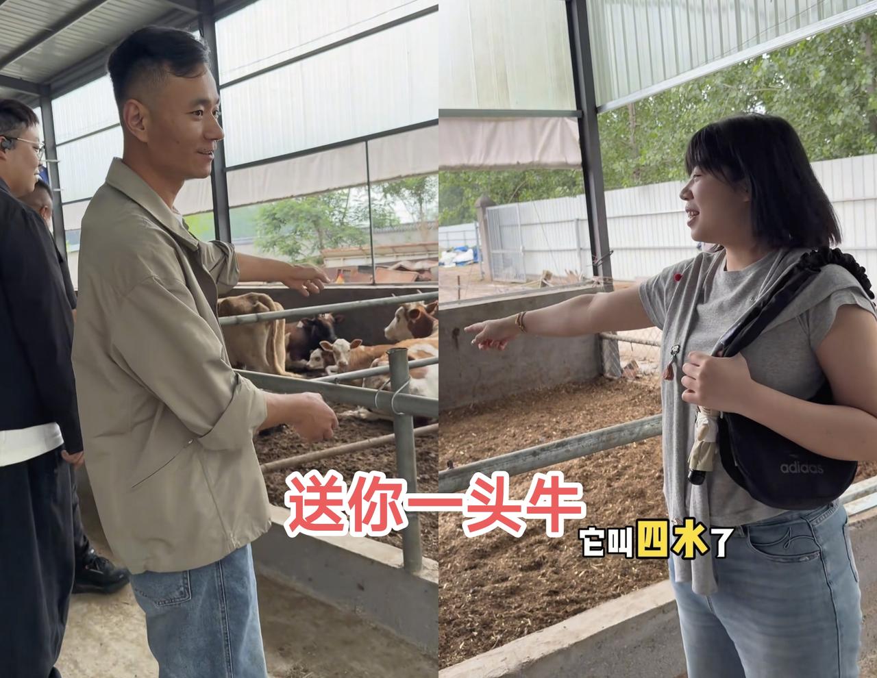 厉怀远要送三水一头牛1个问题摆在面前！
网友瞬间理解大厉三水的处境了
怀远上树给