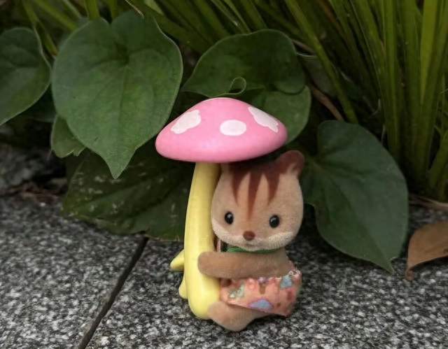 10种便宜、蛋白质高的食物！
