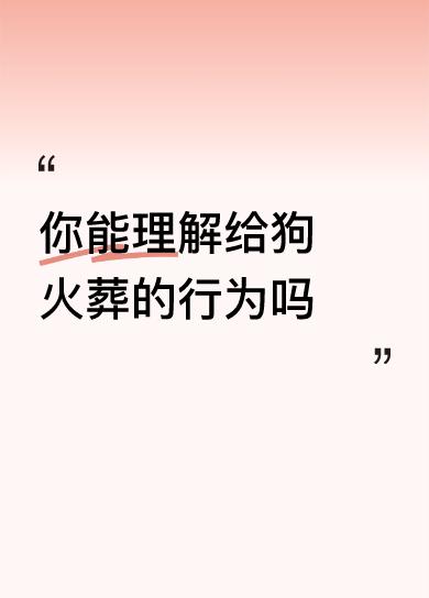 你能理解给狗火葬的行为吗她也是狗