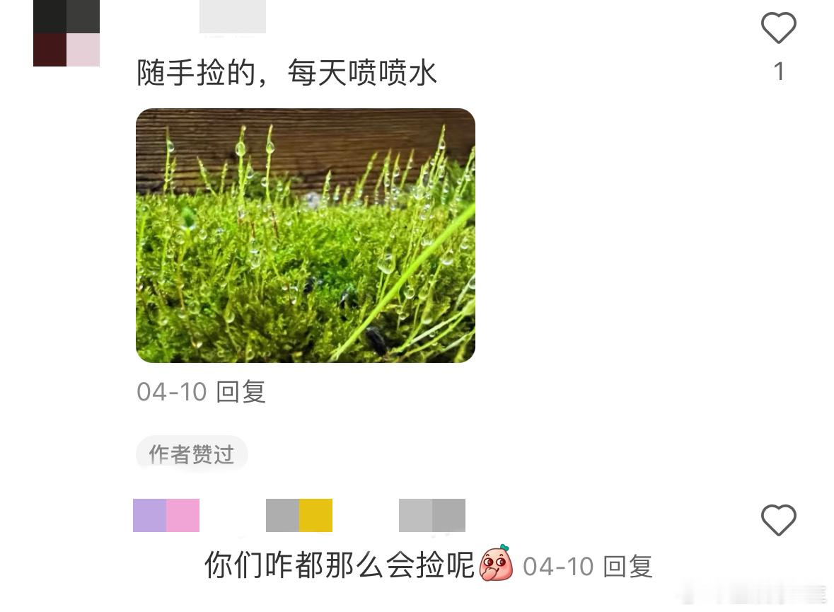 养砖是打工人最早的兴趣邪修果然打工人的工位上面真的是可以养各种各样的一些小东西了