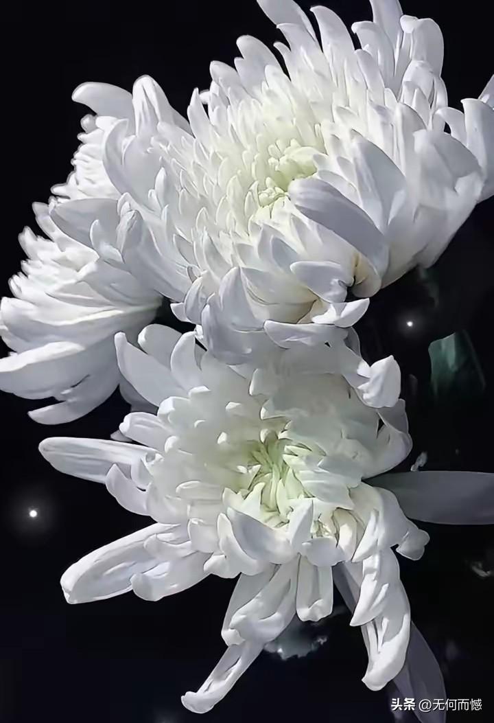 2026年3月19日，农历二月初一，二婶安详走完了84载人生旅程，永远离开了我们