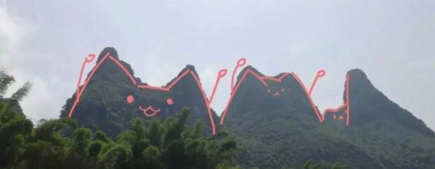 猫猫山头！