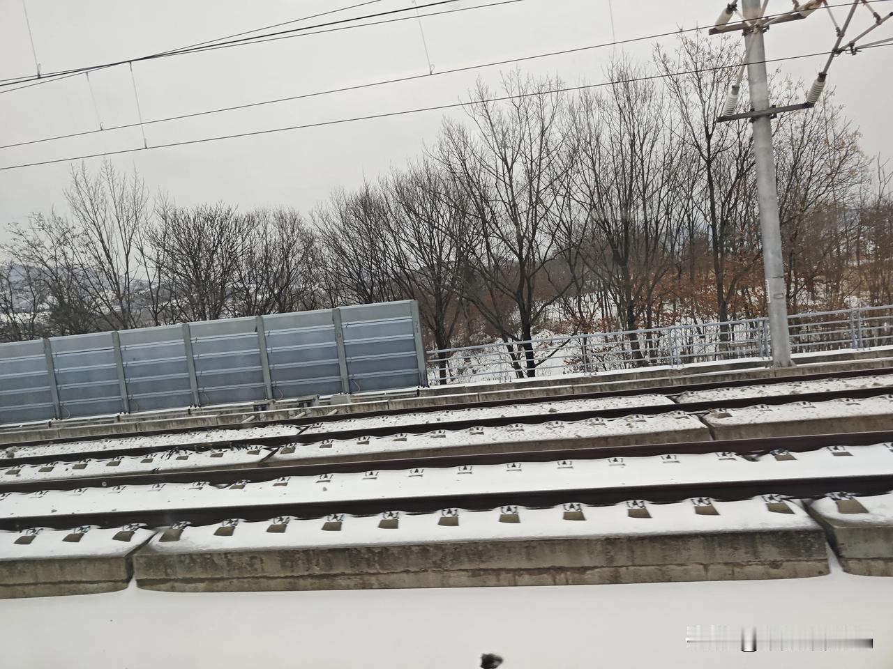 #原来这是春江花月夜中的霰# 今天武汉下的不是雪，是霰，有点像一颗一颗的小冰雹，