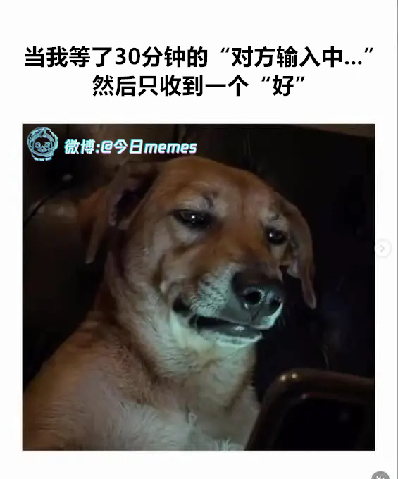 刻字呢（9gag）今日meme 今日memes